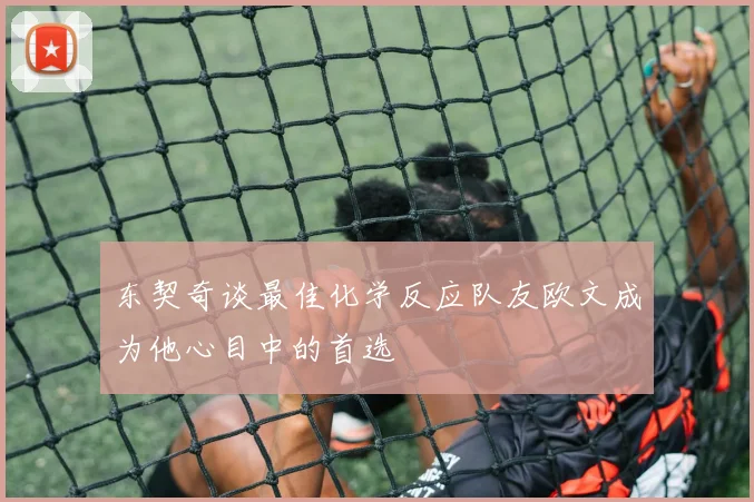 东契奇谈最佳化学反应队友欧文成为他心目中的首选