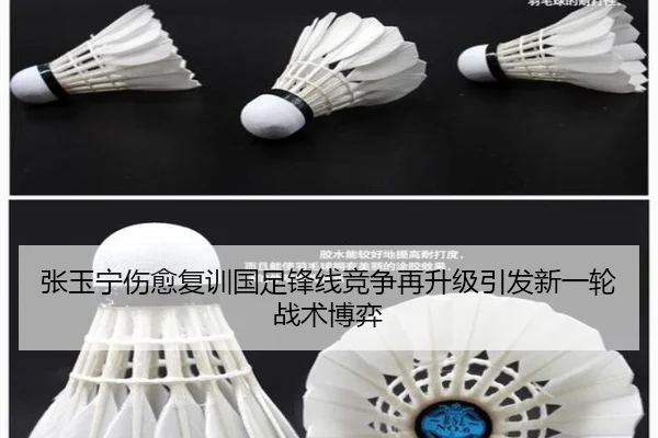 张玉宁伤愈复训国足锋线竞争再升级引发新一轮战术博弈（LDSPORTS）